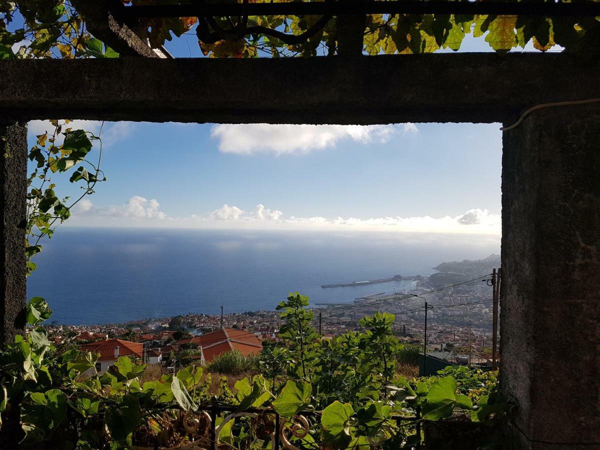 City View Gardens I Funchal  Ngoại thất bức ảnh